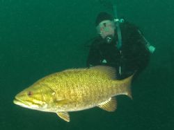 Bass in Gilboa Quarry, Ohio. D70, 10.5 fisheye, two stobes. by David Heidemann 
